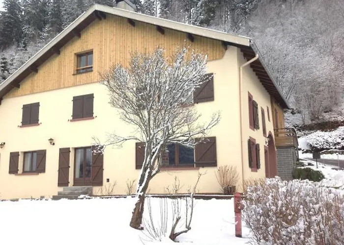 Prázdninový dům Authentique En Ferme Vosgienne, Nature Et Confort Pres De Gerardmer - Fr-1-589-211 *